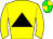 Horse silk