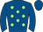 Horse silk