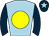 Horse silk