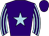 Horse silk