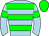 Horse silk