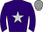 Horse silk