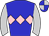 Horse silk