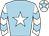 Horse silk