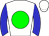 Horse silk