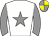 Horse silk
