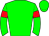Horse silk