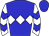 Horse silk
