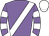 Horse silk