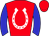 Horse silk