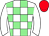 Horse silk