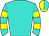 Horse silk