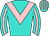 Horse silk
