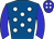 Horse silk