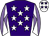 Horse silk
