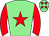 Horse silk
