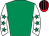 Horse silk