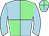 Horse silk
