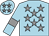 Horse silk