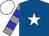 Horse silk