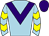 Horse silk
