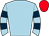 Horse silk