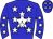 Horse silk