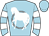 Horse silk