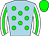 Horse silk