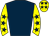 Horse silk
