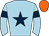 Horse silk