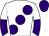 Horse silk