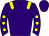 Horse silk