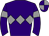 Horse silk