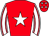 Horse silk