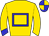 Horse silk
