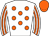 Horse silk