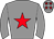 Horse silk