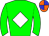 Horse silk