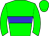 Horse silk