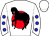 Horse silk