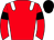 Horse silk