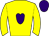 Horse silk