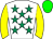 Horse silk