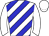 Horse silk