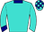 Horse silk
