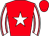 Horse silk