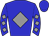 Horse silk