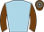 Horse silk