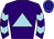 Horse silk